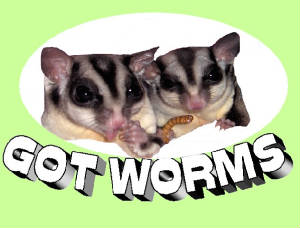 jamieworms.jpg