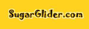 sugarglider1.com.logo.gif